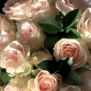 Meet your Posher, Jenn